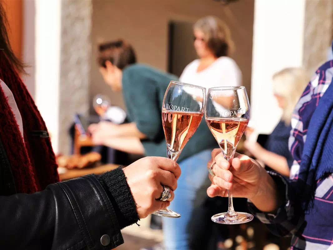 Cava and Olive Oil Tasting Half-Day Tour from Barcelona with Brunch
