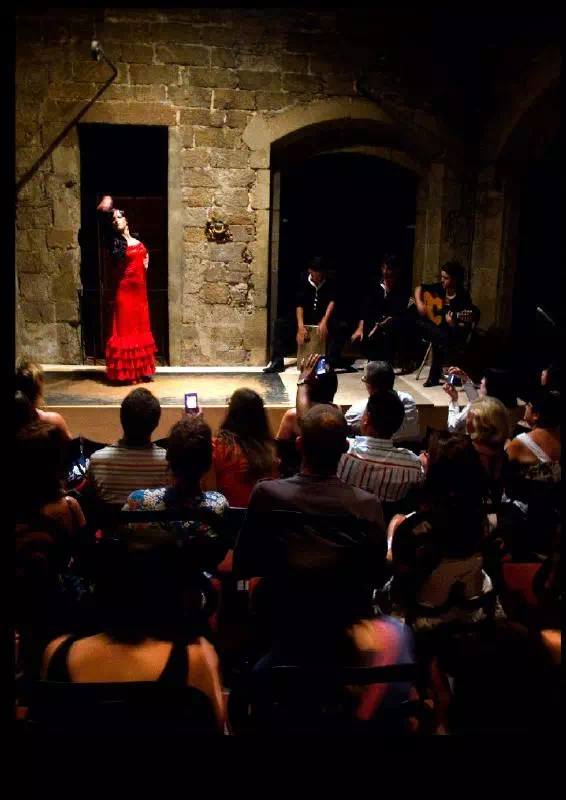 Barcelona Small Group Night Walking Tour with Tapas and Flamenco Show