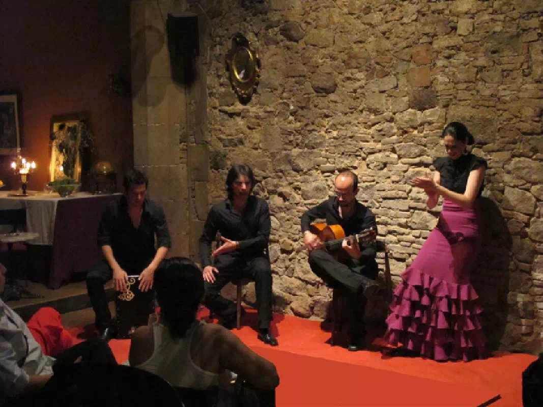 Barcelona Small Group Night Walking Tour with Tapas and Flamenco Show