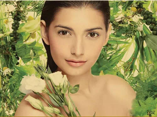Divana Virtue Spa Silom Branch Facial and Massage Packages in Bangkok