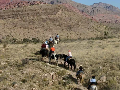 Fossil Ridge Canyon Horseback Ride