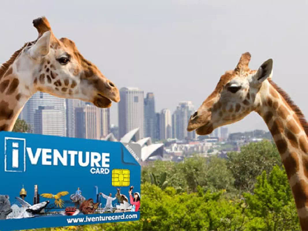 Australia Multi City Flexi Attractions Pass from Sydney