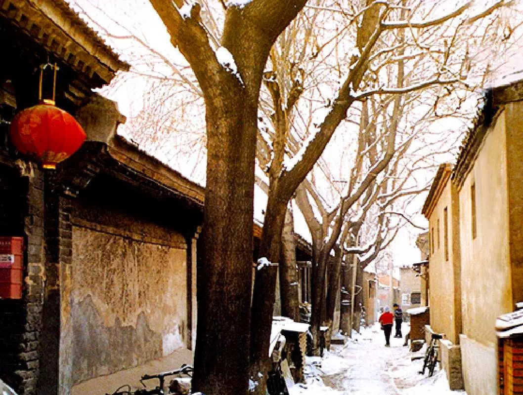 Full Day Group Tour of Beijing with Olympic Park and Hutong Tour 