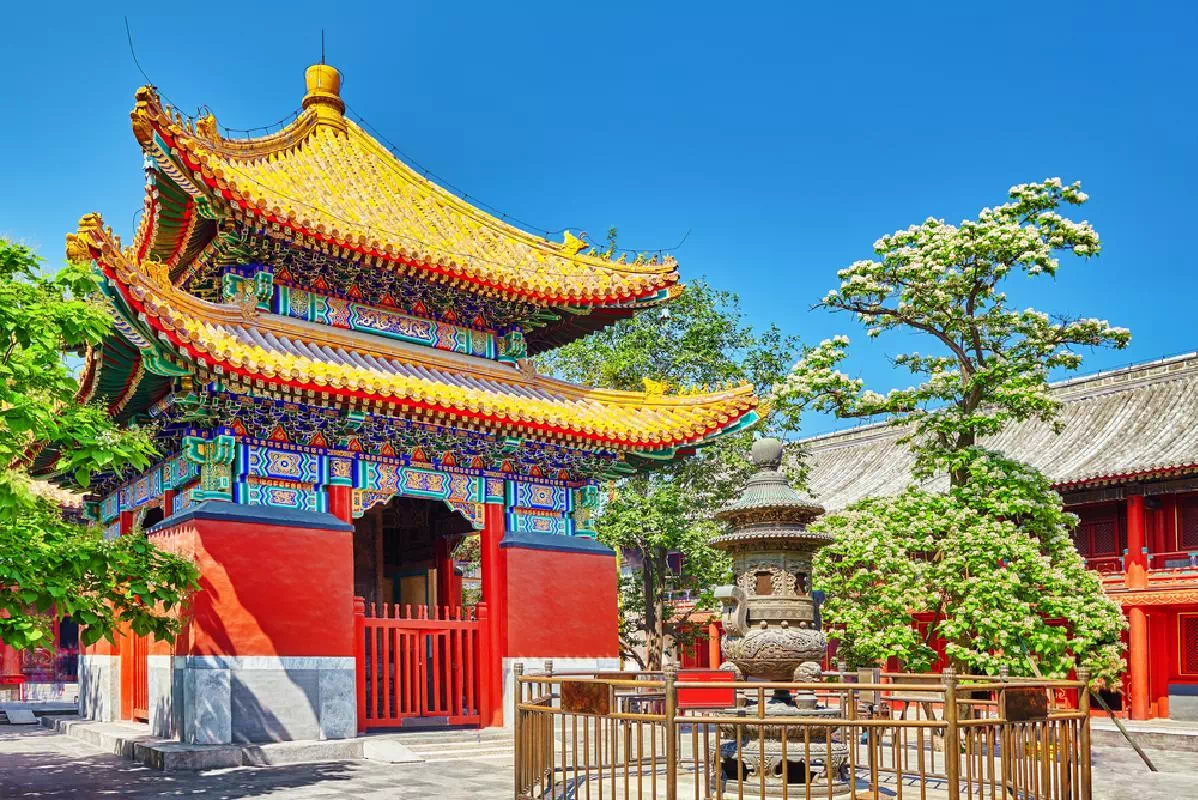 Beijing Lama Temple, Panda Garden and Altar of Agriculture Group Tour