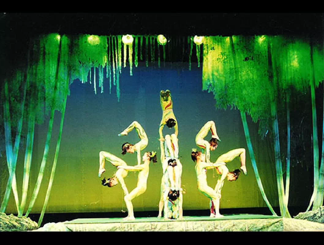 Chinese Acrobats and Shanghai Private Evening Tour with Hotel Pick-up