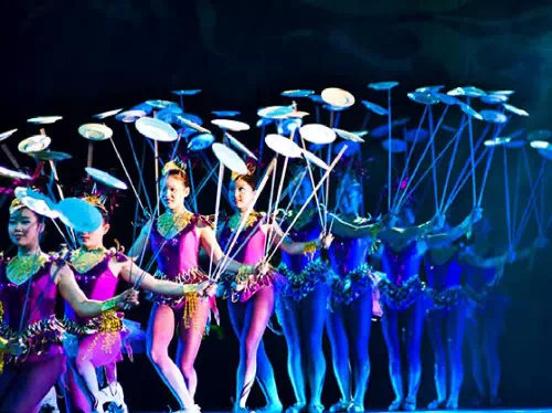 Chinese Acrobats and Shanghai Evening Group Tour with Hotel Pick-up