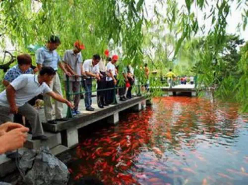 Private Day Tour of Hangzhou from Shanghai with West Lake Cruise