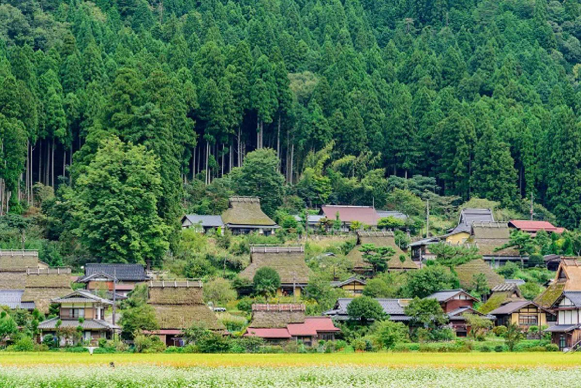 Amanohashidate Sandbar and Miyama Village Day Trip from Osaka or Kyoto