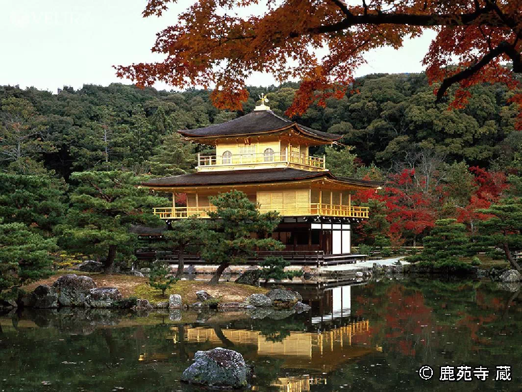 Kyoto 1-Day Bus Tour to Fushimi Inari, Kiyomizu-dera, Kinkakuji & Nijo Castle