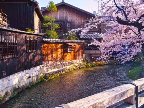 Kyoto Half-Day Walking Tour to Arashiyama, Gion & Tofukuji