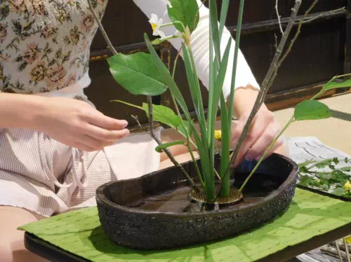 Elegant Ikebana Flower Arrangement Lesson in a Traditional Townhouse in Kyoto