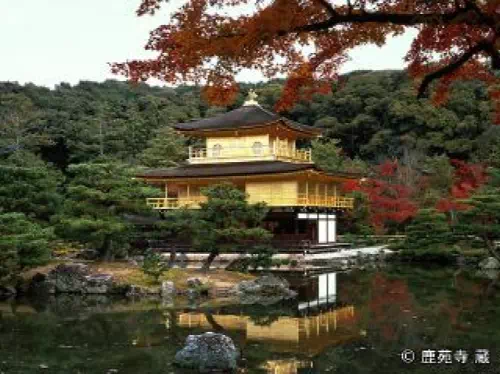 Four Hour Scenic Temple Tour in Kyoto on a Charter Taxi (4 Person)