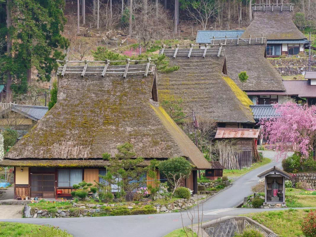 Kyoto Miyama Thatched-Roof House Half-Day Visit & Lifestyle Experience