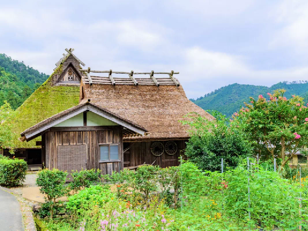 Kyoto Miyama Thatched-Roof House Half-Day Visit & Lifestyle Experience