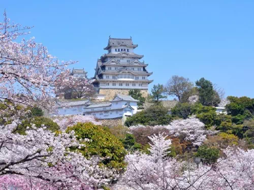 Himeji Castle and Akashi Kaikyo Bridge World Heritage Walking Tour from Kyoto