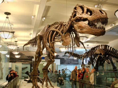 American Museum of Natural History Admission Tickets