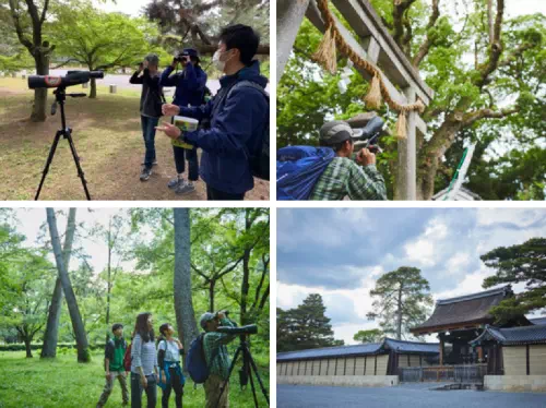 Kyoto Imperial Palace Japanese Birdwatching Experience