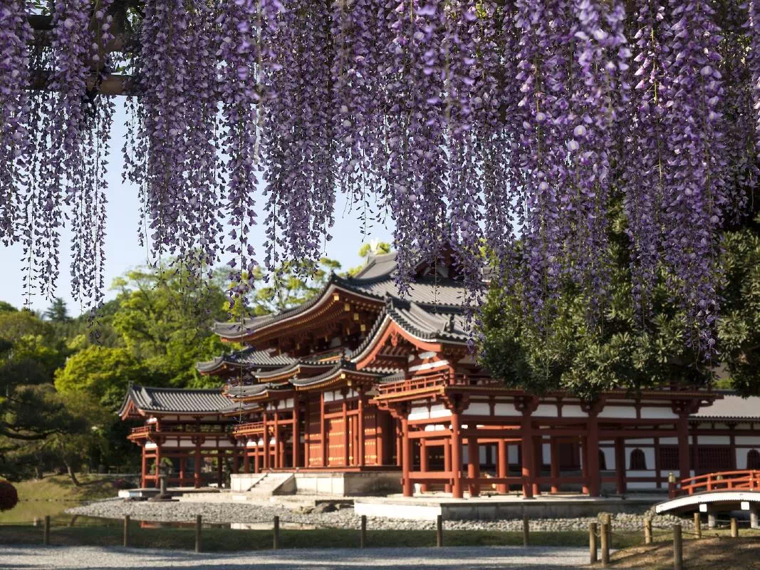 1 Night Stay with 1 Day Katsura Imperial Villa and Byodoin Temple Tour