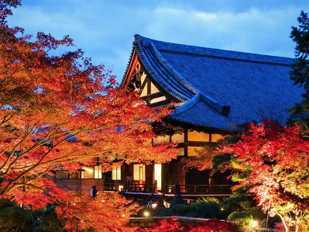 Kyoto Evening Fall Foliage Light-up at Konkai Komyoji Temple (Nov 4-Dec 8, 2019)