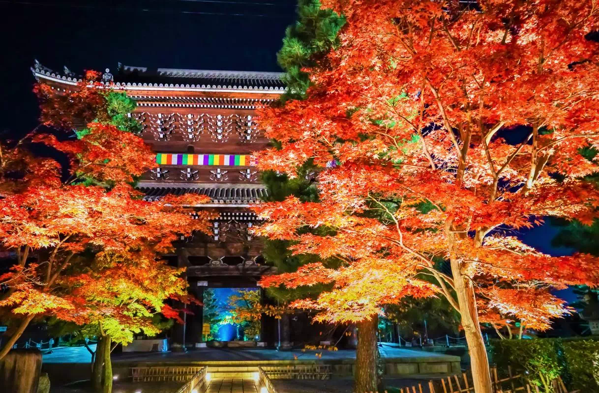 Kyoto Evening Fall Foliage Light-up at Konkai Komyoji Temple (Nov 4-Dec 8, 2019)