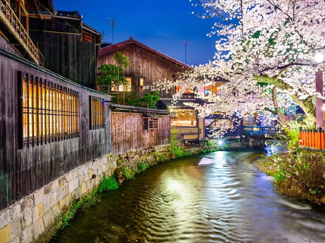 Kyoto Flower Districts After Dark: Luxury Sake and Whisky Tasting Tour