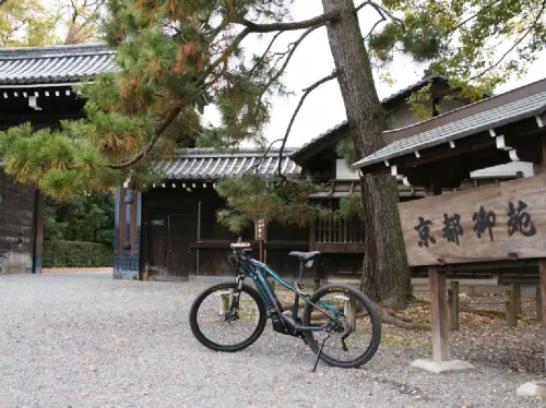 Kyoto Full-Day Biking Tour to Kiyomizu-dera, Kinkakuji, Nijo Castle, Ginkakuji 