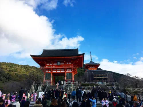 Kyoto 1-Day Muslim-Friendly Walking Tour to Kiyomizu-dera & More w/ Halal Lunch