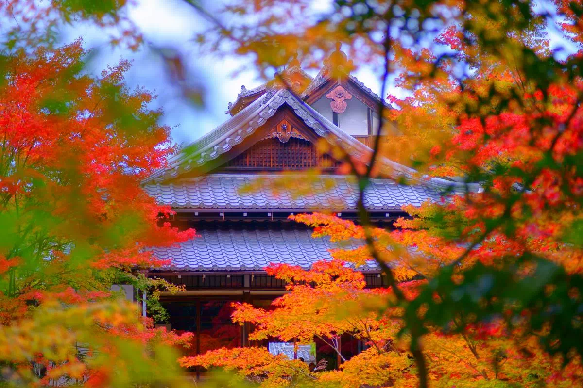 Kyoto Morning Bike Tour to Kamo River, Nanjenzi Temple & Philosopher's Path