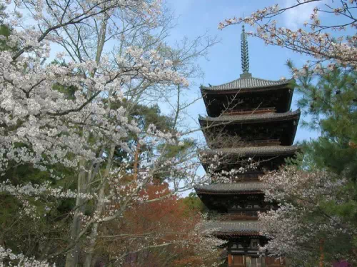 Private One Day Tour of Buddhist Zen Temples in Kyoto