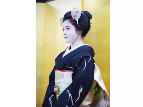 Private Maiko Dance Performance with Dinner or Snacks Plan in Kyoto