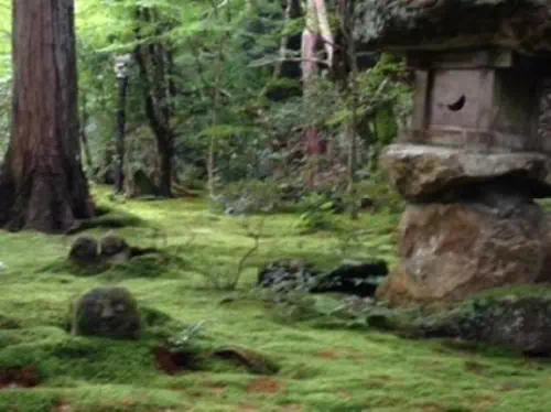 Private Ohara Temple and Garden Sightseeing Tour from Kyoto