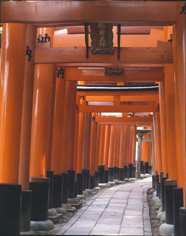 Fushimi Inari Shrine Visit and Sake TastingTour in Kyoto