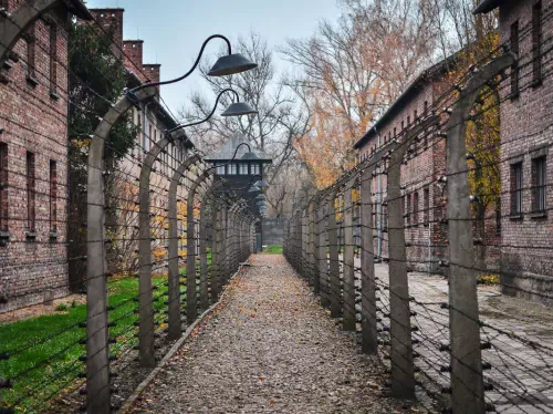 Warsaw to Krakow Private Hotel Transfers with Auschwitz-Birkenau Tour
