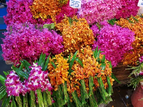 Evening Tour of Bangkok Flower Market and Patpong Night Market