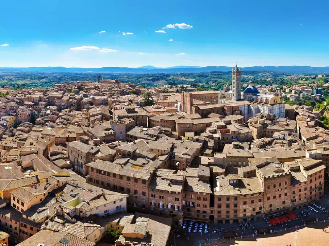 San Gimignano, Monteriggioni & Siena from Florence with Olive Oil & Chianti Wine