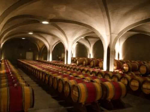 Medoc Wine Region One Day Tour from Bordeaux including Wine Tasting