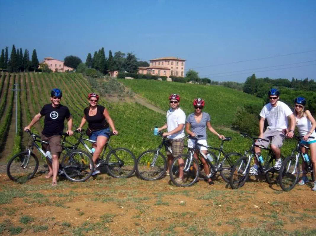 Tuscany Wine Tour from Florence by Bike with Lunch and Olive Oil Sampling