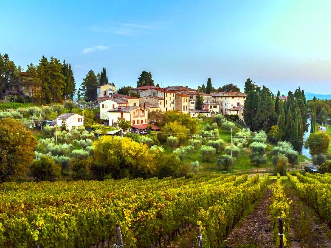 Chianti Wine Tour from Florence with Greve and Castellina Visit