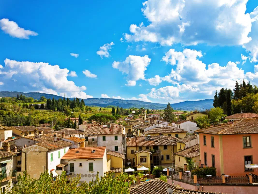 Chianti Wine Tour from Florence with Greve and Castellina Visit