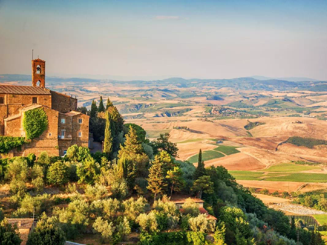 Tuscany Wine Tour from Florence with Chianti, Montalcino and Montepulciano Visit