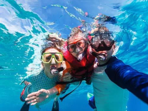 Snorkeling Tour of the Great Barrier Reef from Port Douglas