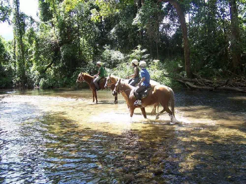 Half Day Horseback Riding Experience from Cairns