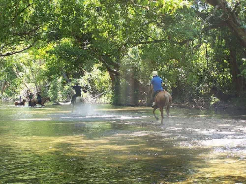 Half Day Horseback Riding Experience from Cairns
