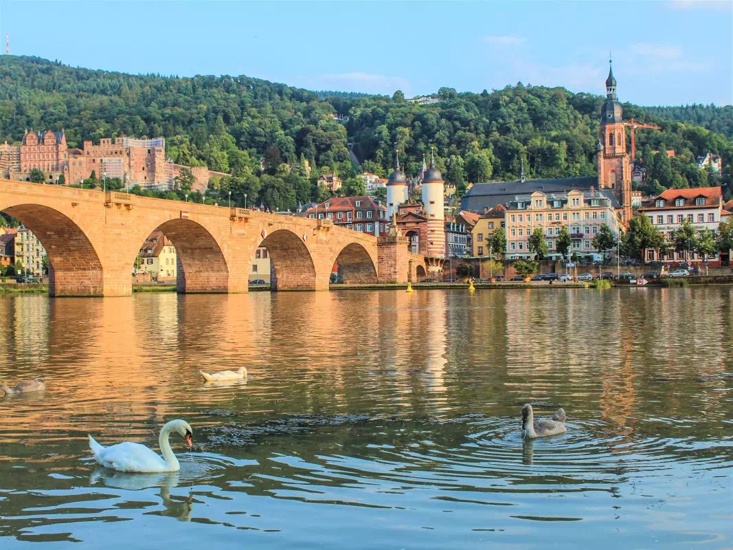Heidelberg Guided Tour with 1-hour Frankfurt Bus Tour