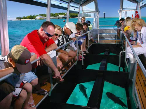 Green Island Afternoon Tour from Cairns with Snorkeling or Glass Bottom Boat 