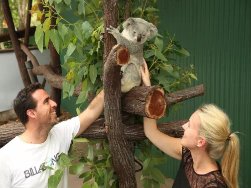 Private Tour of Wildlife Habitat in Cairns with Breakfast or Lunch