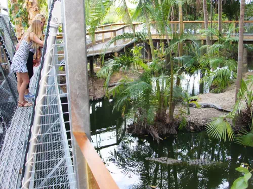 Private Tour of Wildlife Habitat in Cairns with Breakfast or Lunch