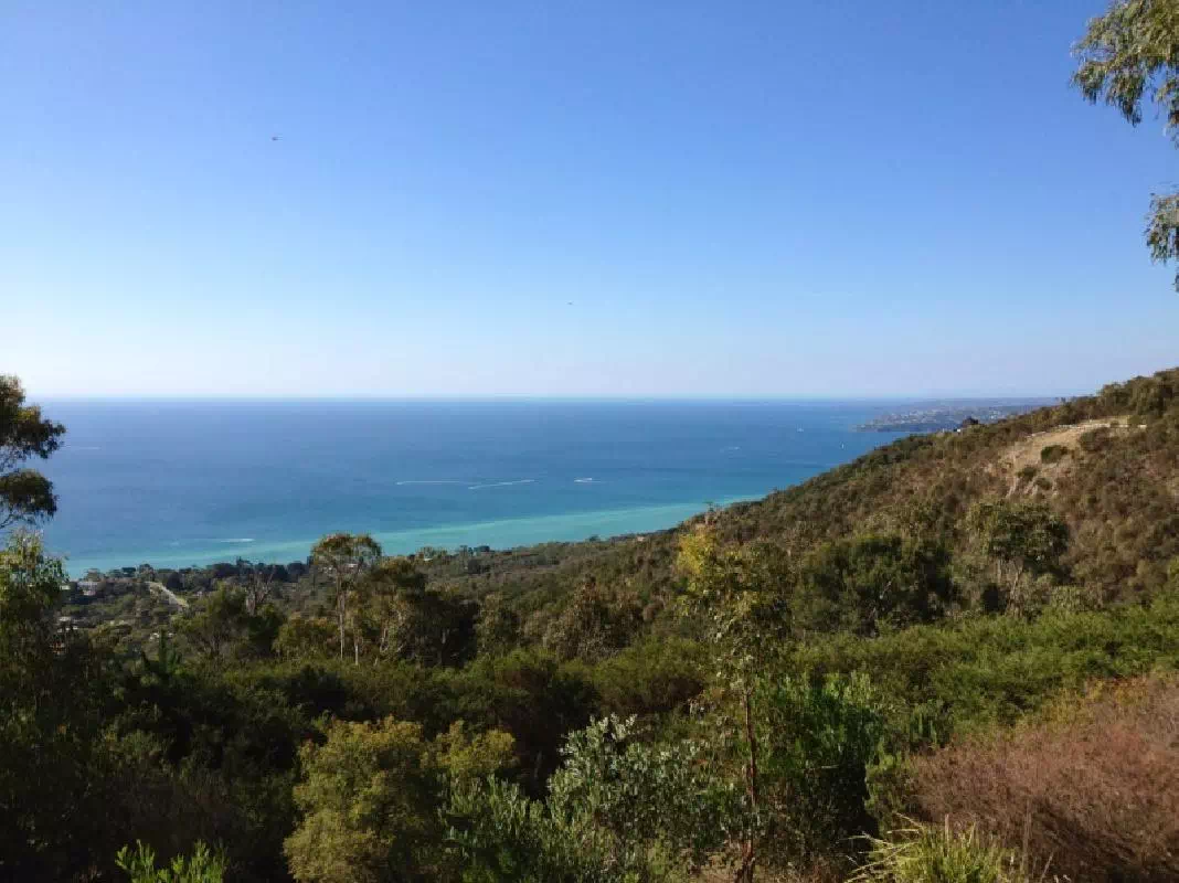 Mornington Peninsula Day Trip with Strawberry Picking and Wine Tasting