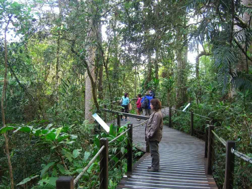 Kuranda Rainforest Full Day Tour 