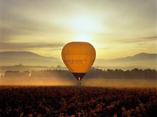 Yarra Valley Sunrise Balloon Flight with Breakfast and Pick-up from Melbourne